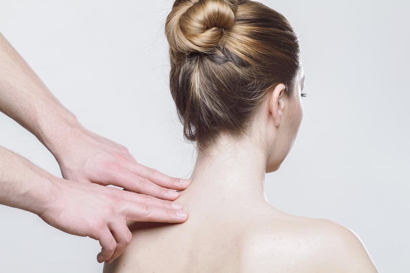 Physical Therapist